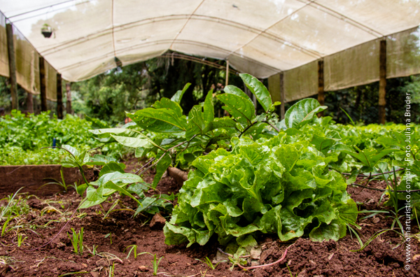 horta orgânica do Recanto das Cachoeiras