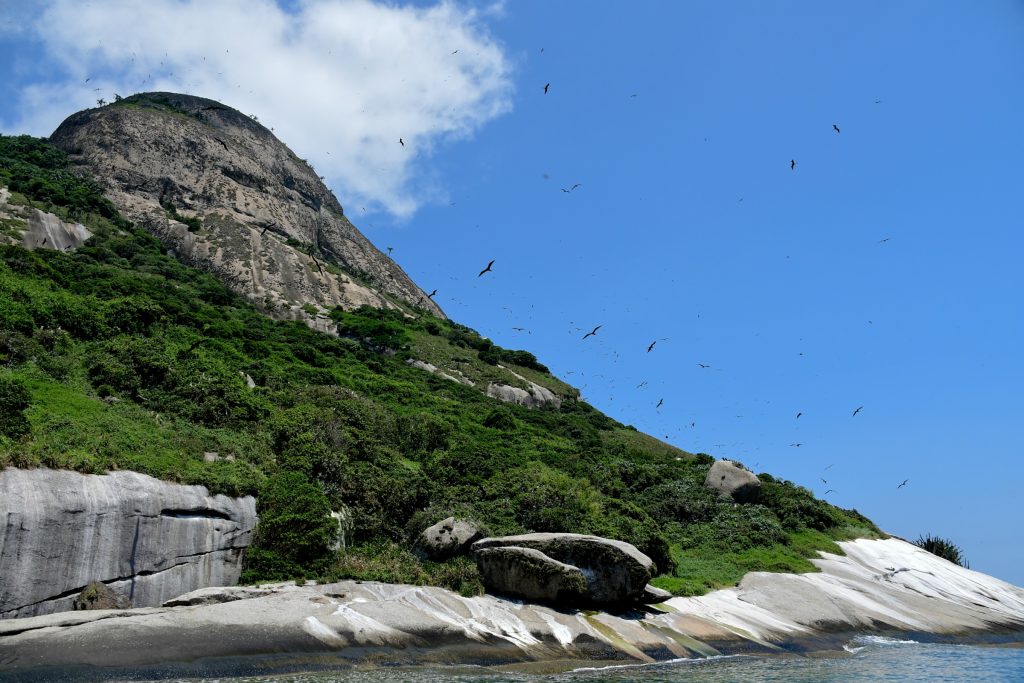 Costão da Ilha de Alcatrazes