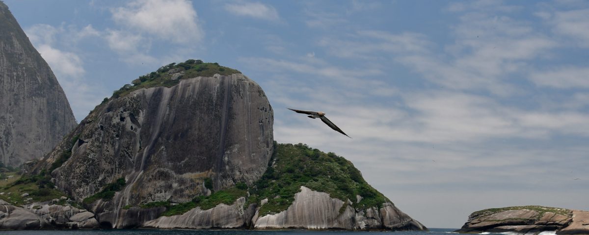 Ilha de Alcatrazes